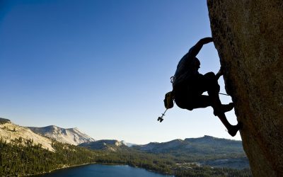 Climbing a Rockface: Effecting Transformation in Membership Organisations