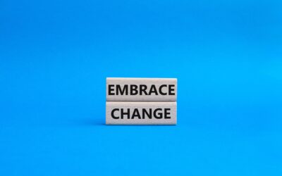 Embracing Change: strategies and insights from the Change Curve